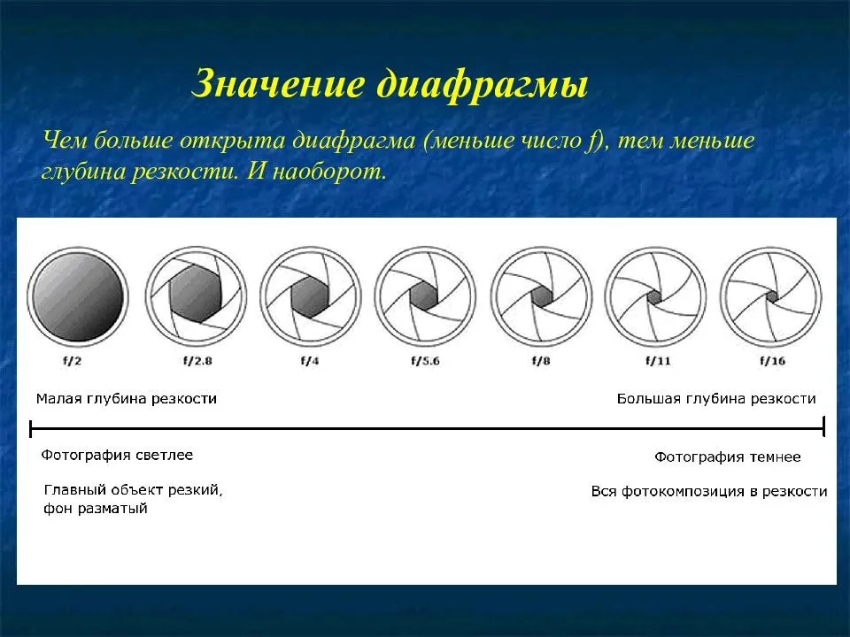 Диафрагма в фотографии это простыми словами